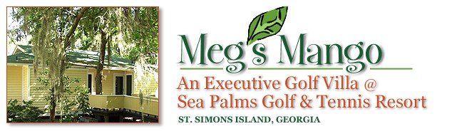 ST SIMONS ISLAND Sea Palms Condo rental